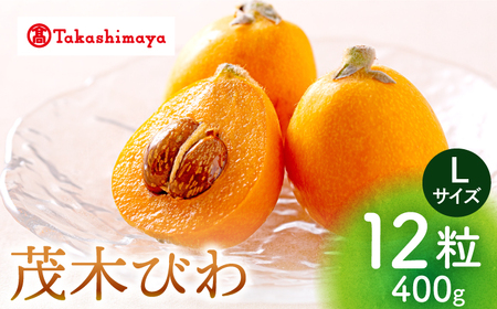 【高島屋選定品】【先行予約】九州屋 茂木 びわ 400g（ Lサイズ 12粒入）＜高島屋＞ [CFQ060]