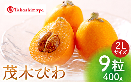 【高島屋選定品】【先行予約】九州屋 茂木 びわ 400g（ 2Lサイズ 9粒入）＜高島屋＞ [CFQ061]