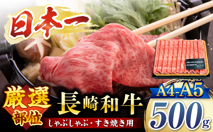 【厳選部位】 【A4～A5】 長崎和牛 サーロイン しゃぶしゃぶ すき焼き 用  約500g＜株式会社MEAT PLUS＞ [CFT008]