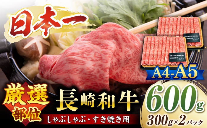 【厳選部位】 【A4～A5】 長崎和牛 サーロイン しゃぶしゃぶ すき焼き 用 約600g（300g×2p）＜株式会社MEAT PLUS＞ [CFT010]