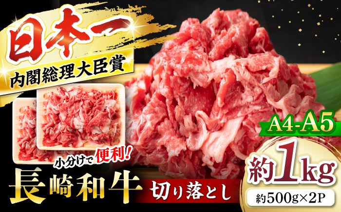 【A4～A5】長崎和牛 切り落とし 約1kg（500g×2パック）＜株式会社MEAT PLUS＞ [CFT025] 和牛 国産