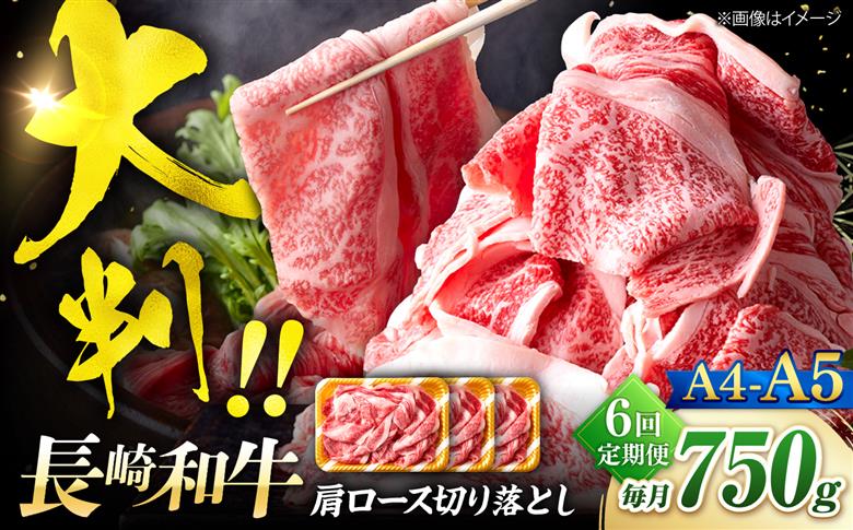 【6回定期便】艶さし！【A4～A5】長崎和牛大判霜降り贅沢切り落とし 計750g（250g×3パック）＜株式会社MEAT PLUS＞ [CFT077]