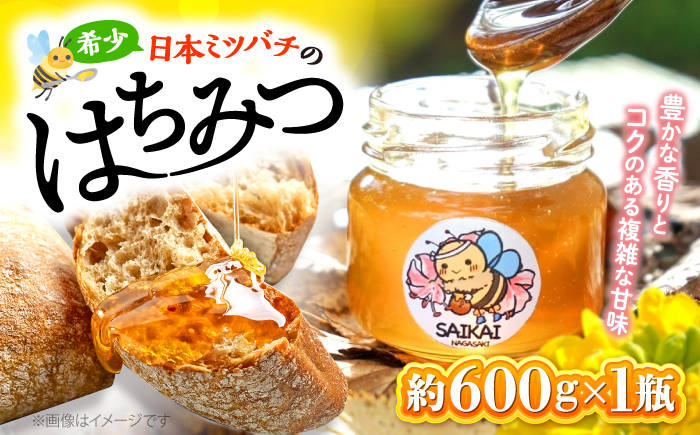 希少な日本ミツバチ】 国産 蜂蜜 約600g ～西海からの贈り物～＜おばま養蜂農園＞ [CFY001]