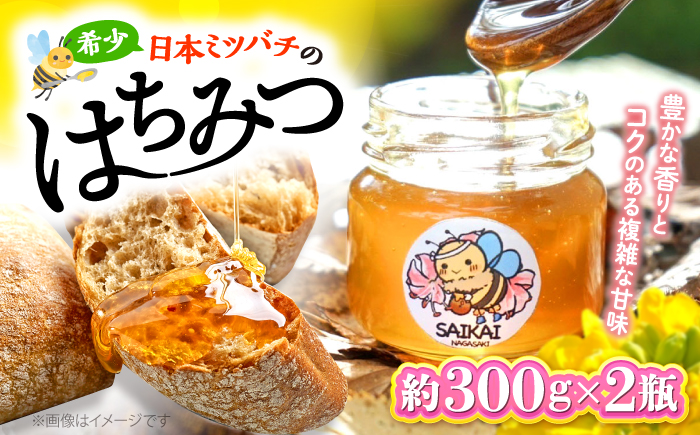 【希少な日本ミツバチ】 国産 蜂蜜 約600g（約200g×3瓶） ～西海からの贈り物～＜おばま養蜂農園＞ [CFY002]  長崎 西海 蜂蜜 はちみつ ハチミツ 蜂蜜 はちみつ ハチミツ 国産蜂蜜 贈答 ギフト