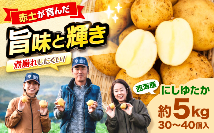 勝田農園の満々じゃがいも にしゆたか 約5kg（M～Lサイズ混合）＜勝田農園＞ [CGM001]