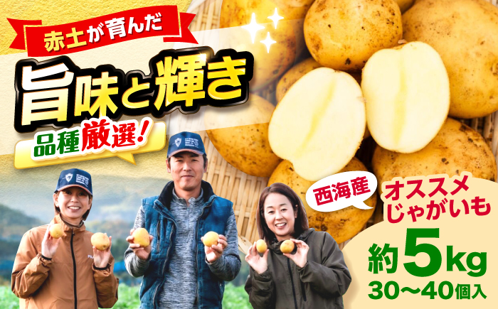 勝田農園のおまかせじゃがいも約5kg（種類・サイズ混合）＜勝田農園＞ [CGM003]