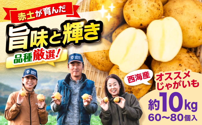 勝田農園のおまかせじゃがいも約10kg（種類・サイズ混合）＜勝田農園＞ [CGM004]