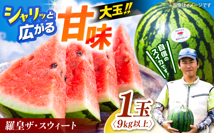 すいか 【先行予約：2026年5月下旬より配送】 スイカ 羅皇ザ・スウィート 1玉  [CGM005]  すいか スイカ