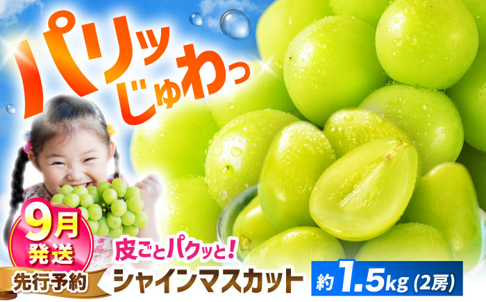 【2025年9月発送】 シャインマスカット 約1.5kg（2房）大粒 皮ごと 種なし＜濱崎農園＞ [CGN005]
