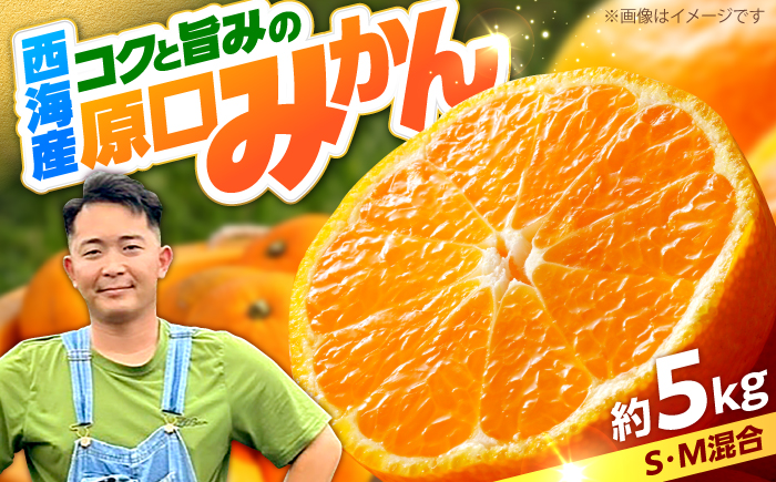 【数量限定】 原口みかん 約5kg（傷み保証分200g含む）＜田川農園＞ [CGR001]