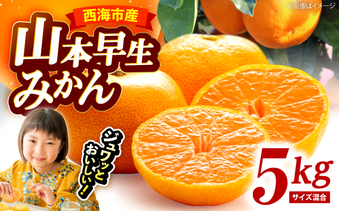 【11月中旬より配送開始】 山本早生 みかん 約5kg（S,Mサイズ混合）＜濱崎ファーム＞ [CGT001]