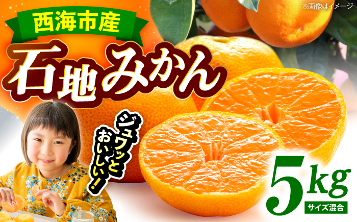 【12月中旬より配送開始】 石地みかん 約5kg （S,Mサイズ混合）＜濱崎ファーム＞ [CGT003]