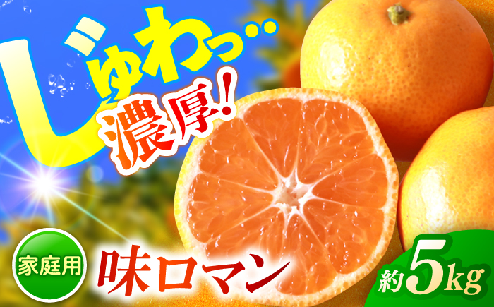 【ご家庭用】長崎味ロマン みかん 約5kg＜長崎西彼農業協同組合＞