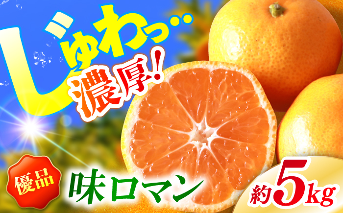 【優品】長崎味ロマン みかん 約5kg＜長崎西彼農業協同組合＞