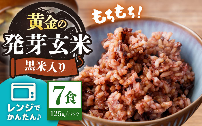 【2026年2月より順次発送】【農家のこだわり米】黄金の発芽 玄米 黒米入り パックご飯 125g×7食＜AgriBaseさいかい＞[CGV001]