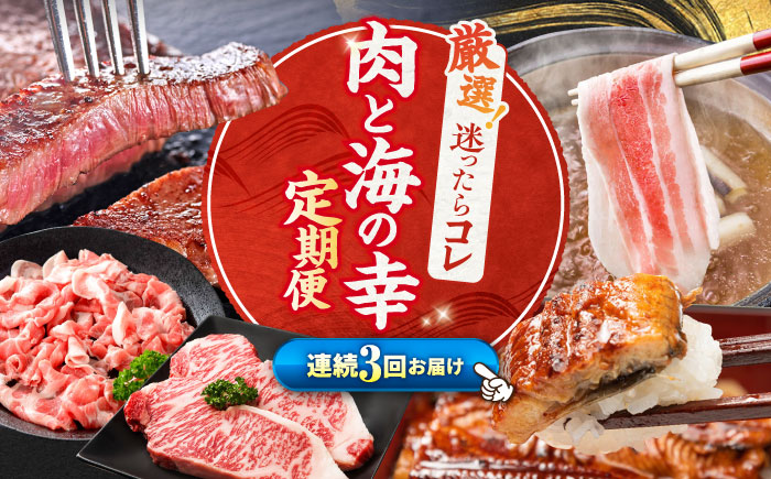 【3回定期便】お肉と海の幸～見つけた！西海の宝物 定期便 ～ [CZZ020]  長崎 西海 豚肉 和牛 国産豚 こま切れ サーロイン ステーキ 鰻 うなぎ 定期便