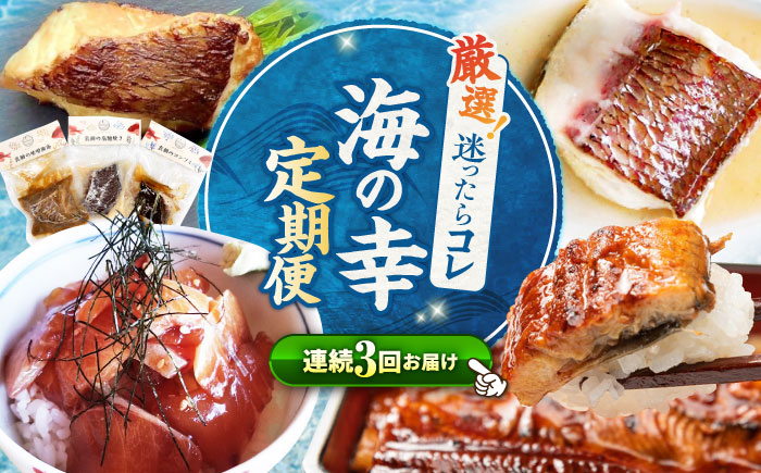 【3回定期便】海の幸～見つけた！西海の宝物定期便～ [CZZ026]  長崎 西海 魚 海の幸 海鮮 加工品 うなぎ 海鮮丼 贈答 ギフト