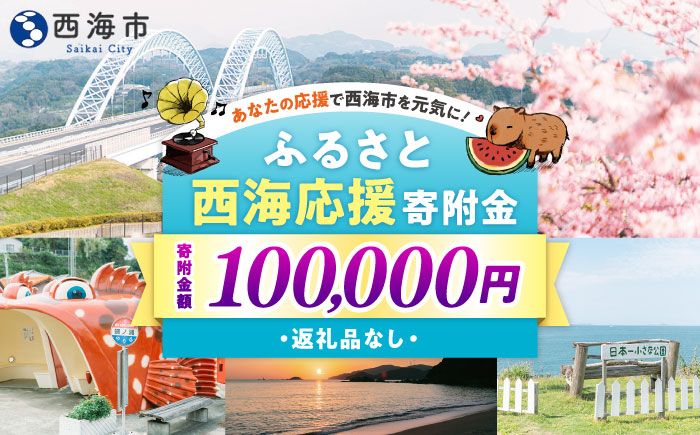 【返礼品なし】 長崎県 西海市 ふるさと応援寄附金（100,000円分） [CZZ036]