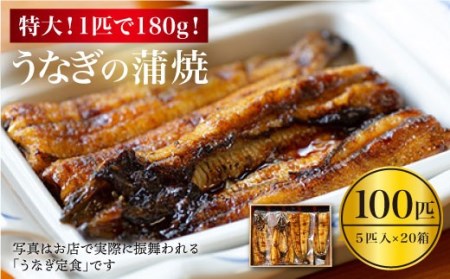 [肉厚180g×100匹]国産 うなぎ 100尾[CCA016][入口屋] 鰻