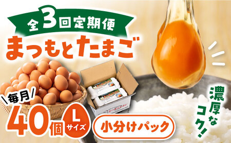 [月1回40個×3回定期便]家族のために選びたい「まつもとたまご」計120個[松本養鶏場] [CCD002] 卵 たまご タマゴ たまご 卵 たまご タマゴ たまご 卵