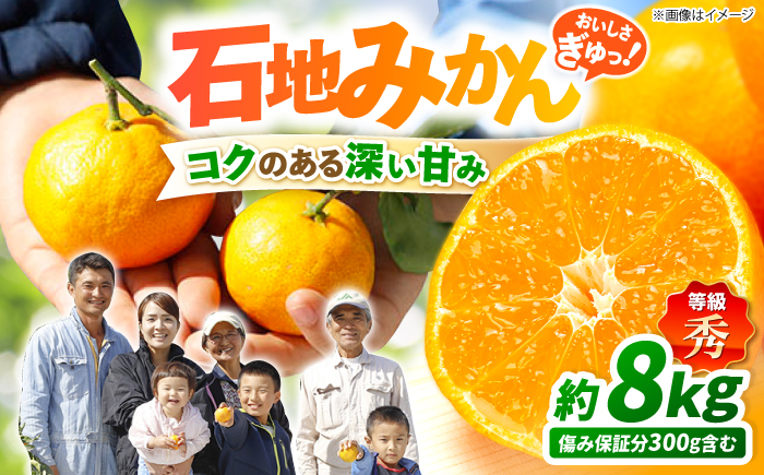 [12月上旬より配送][秀]石地みかん 約8kg(傷み保証分300g含む)[川添みかん園] [CCT007] みかん ミカン 柑橘 西海みかん 西海 贈答 ギフト 贈り物