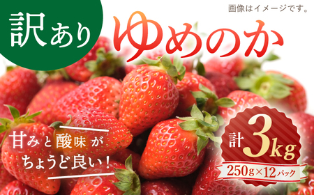 [数量限定]『訳あり』ゆめのか(苺)約3kg(250g×12パック)[川原農園] [CDR006] 長崎 西海市 いちご 苺 イチゴ