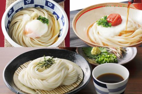 雲仙 大地の恵み】島原手延べうどん2kg / コロニーエンタープライズ