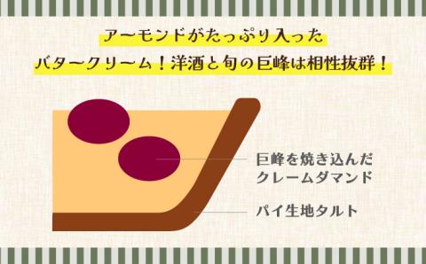 【2026年8月中旬～発送】【予約制のタルト専門店】焼き葡萄のタルト / ぶどう タルト たると ケーキ タルトケーキ スイーツ デザート / 南島原市 / アトリエジジ [SAA001]