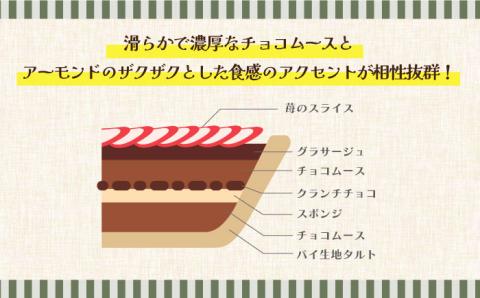 【2026年1月～発送】【舌にあふれる季節感♪こだわりのサクサクタルト】生チョコムースのタルト / タルト たると ケーキ タルトケーキ スイーツ デザート / 南島原市 / アトリエジジ [SAA002]