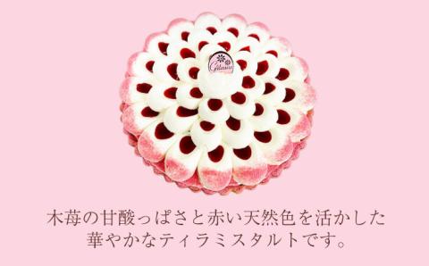 【2026年1月～発送】【舌にあふれる季節感♪こだわりのサクサクタルト】木苺のティラミスタルト / タルト たると ケーキ タルトケーキ スイーツ デザート / 南島原市 / アトリエジジ [SAA003]