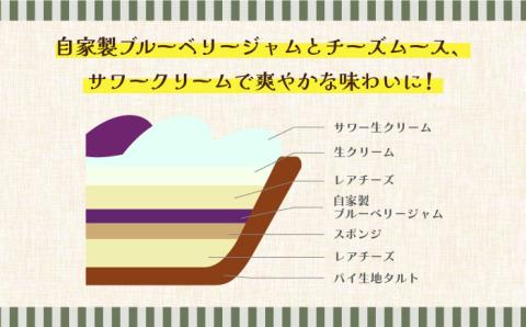 【2026年1月～発送】【舌にあふれる季節感♪こだわりのサクサクタルト】ブルーベリーとムースフロマージュのタルト / タルト たると ケーキ タルトケーキ スイーツ デザート / 南島原市 / アトリエジジ [SAA005]