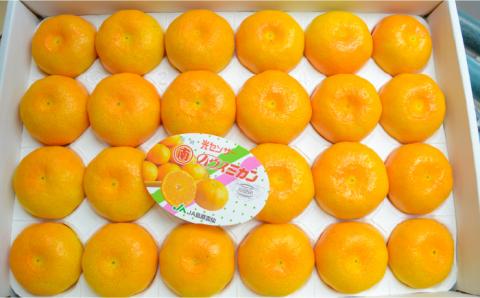 【2026年6月中旬〜発送】ハウス みかん 約2kg / 果物 フルーツ 贈答用 化粧箱 / 南島原市 / 島原雲仙農業協同組合  東南部基幹センター [SAC003]