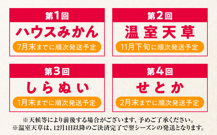 【4回定期便】【2026年7月初回発送】柑橘 4種類 定期便 / ハウスみかん 温室天草 しらぬい せとか 果物 フルーツ / 南島原市 /JA島原雲仙東南部基幹センター [SAC005]