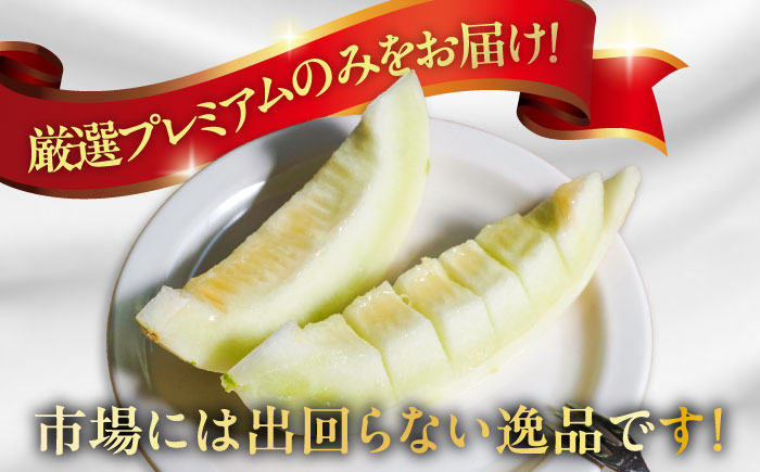 【2026年3月中旬~発送】【平成新山PREMIUM（とみちゃん厳選）】しらかばメロン 5玉～8玉 約5kg / 果物 フルーツ / 南島原市 [SAD002]