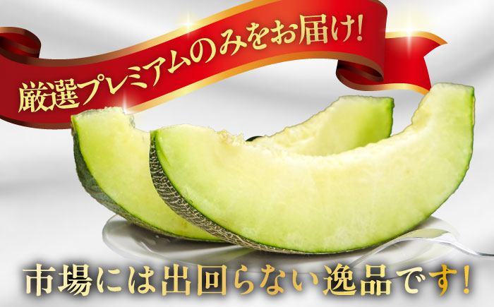 【2026年7月上旬～発送】【平成新山PREMIUM（とみちゃん厳選）】グリーンメロン 2玉 / 果物 フルーツ / 南島原市 [SAD003]