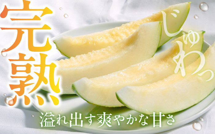 【2026年3月中旬～発送】パパイヤメロン 6～8玉 約5kg / メロン めろん 果物 フルーツ / 南島原市 / うえだメロン園 [SAD008]