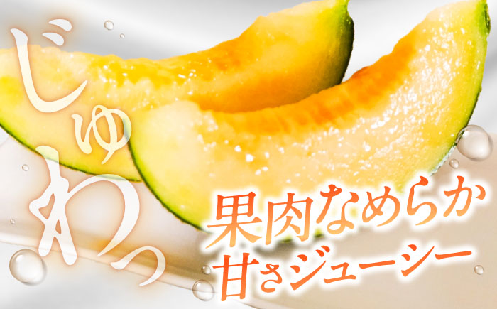 【2026年7月下旬～発送】アールスメロン 2玉 約3.2kg / メロン めろん 果物 フルーツ / 南島原市 / うえだメロン園 [SAD011]