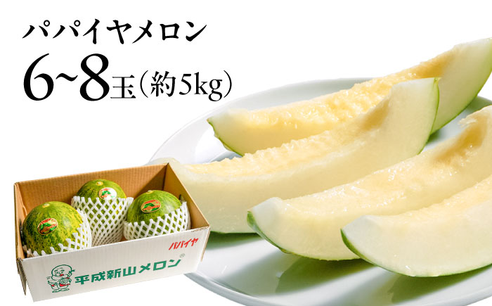 【4回定期便】【2026年3月中旬～発送】＜メロン食べ比べ＞平成新山メロンPREMIUM（とみちゃん厳選）パパイヤ しらかば グリーン アールス / 果物 フルーツ 青肉 / 南島原市 / うえだメロン園 [SAD012]