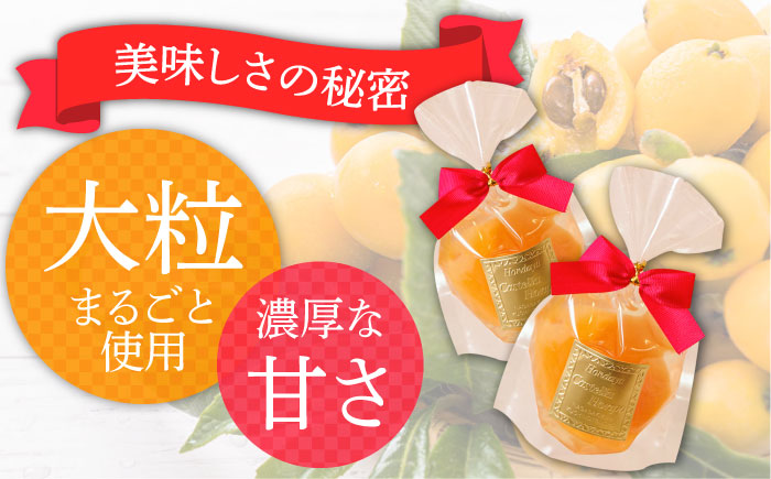 【2026年5月上旬〜発送】【夏季限定】茂木びわ ゼリー 10個入 / びわ ビワ ゼリー フルーツ 果物 ギフト 贈答 お中元 / 南島原市 / 本田屋かすてら本舗 [SAW040]