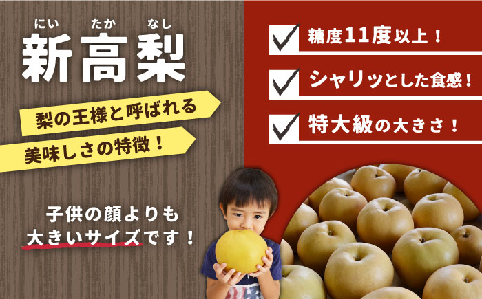 【2026年9月中旬～発送】【シャリッと食感がたまらない！】新高梨 2玉 / 南島原市 / ふるさと企画 [SBA007]