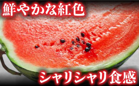 【2025年5月下旬～発送】【大玉】 スイカ 羅皇 (ラオウ) 1玉 / 果物 フルーツ らおう / 南島原市 / ふるさと企画 [SBA013]