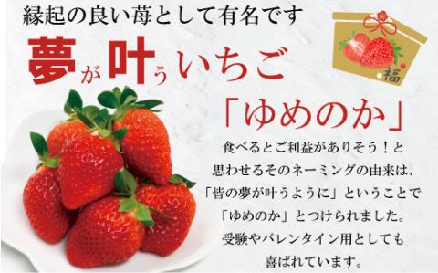 ゆめのか 1kg (250g×4P) / いちご 果物 フルーツ / 南島原市 / ふるさと企画 [SBA015]