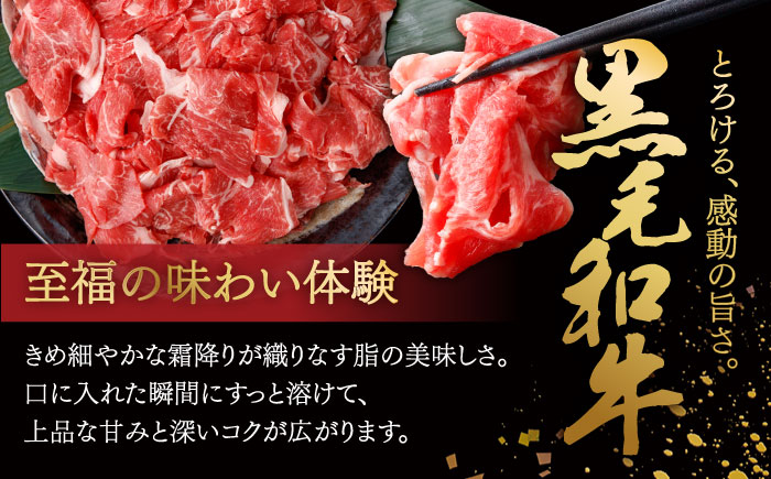 【6回定期便】国産 黒毛和牛 熟成肉 切り落とし 500g / 小分け 国産牛 お肉 牛肉 切落し 冷凍 焼肉 すき焼き / 南島原市 / ふるさと企画 [SBA098]