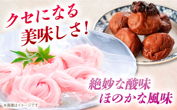 【極旨めん】紀州梅・八女茶そうめんセット（50g×各4束） / 島原 / 南島原市 / 小林甚製麺[SBG024]