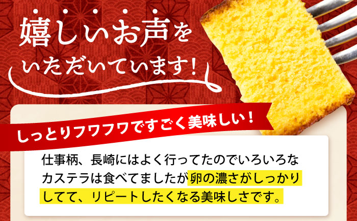 長崎 かすてら 五三焼 ハニー 500g×2本 / お菓子 スイーツ ギフト / 南島原市 / 川崎 [SBI011]