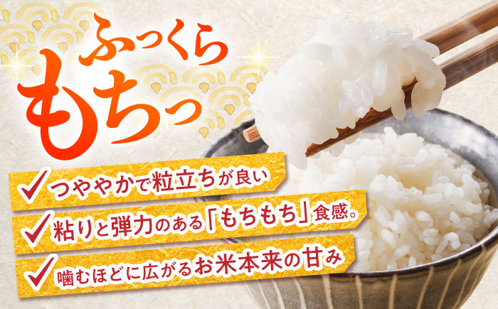 【令和7年産新米】【特別栽培米】 ヒノヒカリ 5kg / 米 精米 白米 ごはん ご飯 ひのひかり / 南島原市 / 農家民宿　いちご一会 [SBN001]