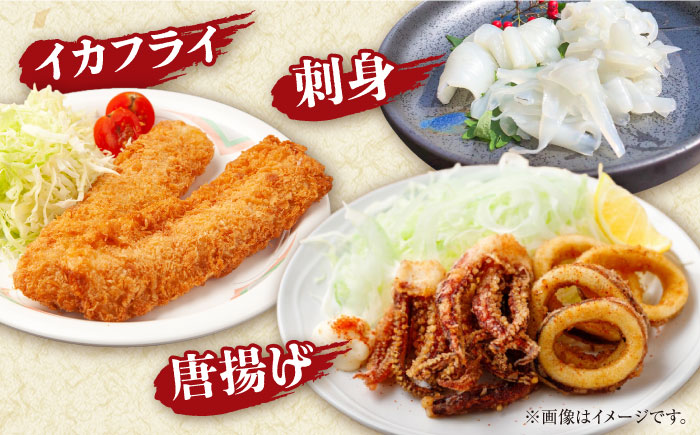 【2月～発送】【着日指定】【おいしい南島原 認定】漁港直送！ 活〆 幸イカ 5杯 約1500g / いか　新鮮　海鮮物　刺し身　揚げ物　簡単調理　キャンプ　BBQ / 南島原市 / 深江町漁業協同組合 [SBO004]