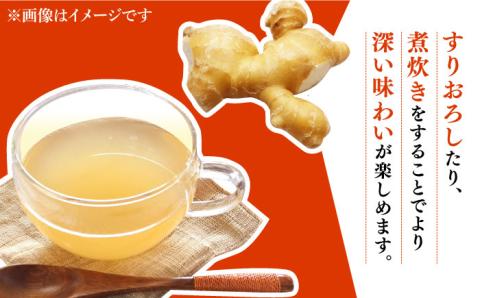 【2026年1月末～順次発送】囲い生姜 約 6kg / ショウガ 南島原市 / ふくはちファーム/福島農園 [SBS014]