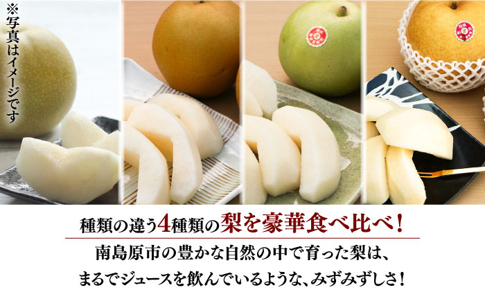 【2025年7月～発送】【4回定期便！南島原の 梨 を 食べ比べ ！】幸水 豊水 二十世紀 新高 / フルーツ 果物 フルーツ定期便 数量限定 産地直送 期間限定 / 南島原市 / 藤原果樹園 [SBV005]