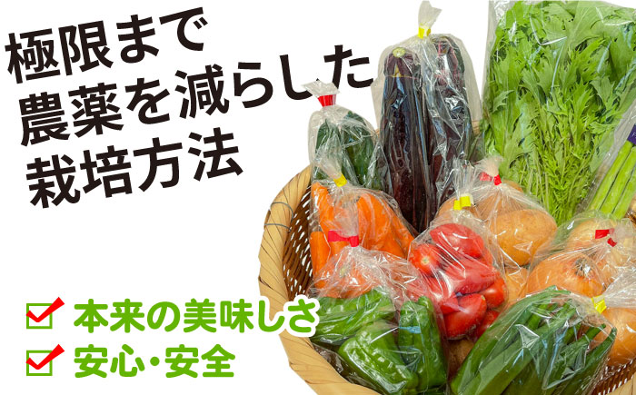 【12回定期便】直売所より発送！季節の野菜セット 7～10品目 / 野菜定期便 野菜 やさい 旬 詰め合わせ / 南島原市 / ながさき南部生産組合 [SBW005]